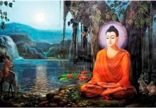 Buddha `s Cultivation